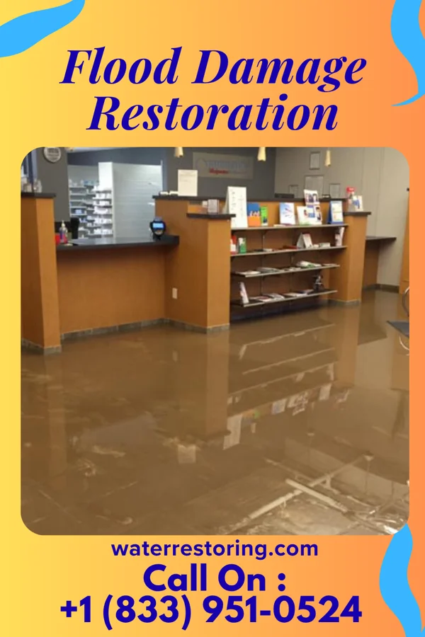 Flood Damage Restoration in Red Lick, TX