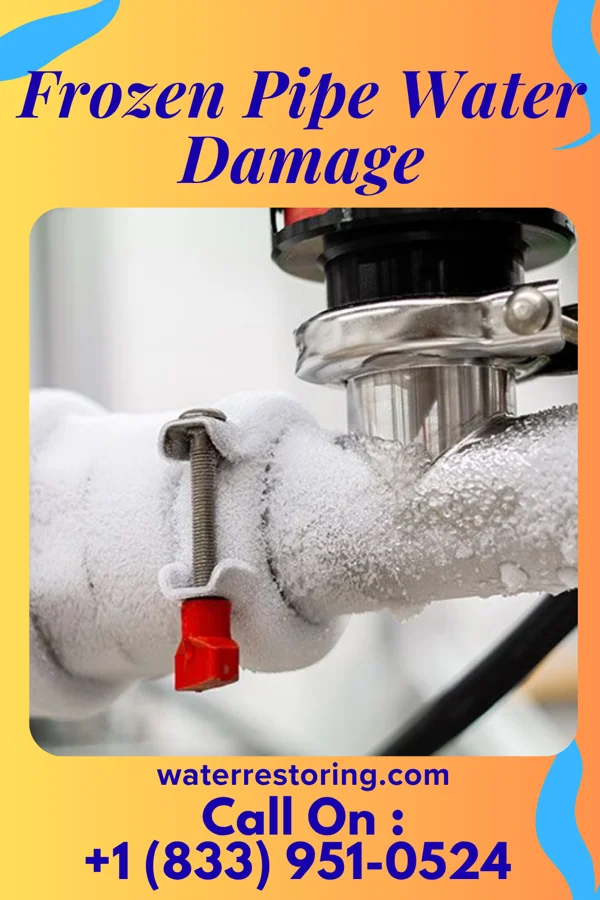 Frozen Pipe Water Damage in Red Lick, TX