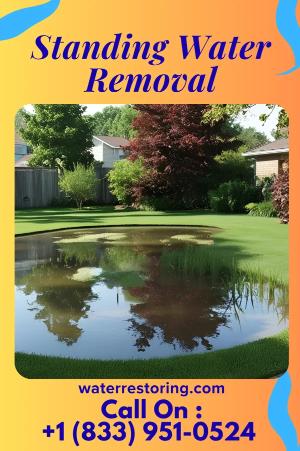 Standing Water Removal in Red Lick, TX